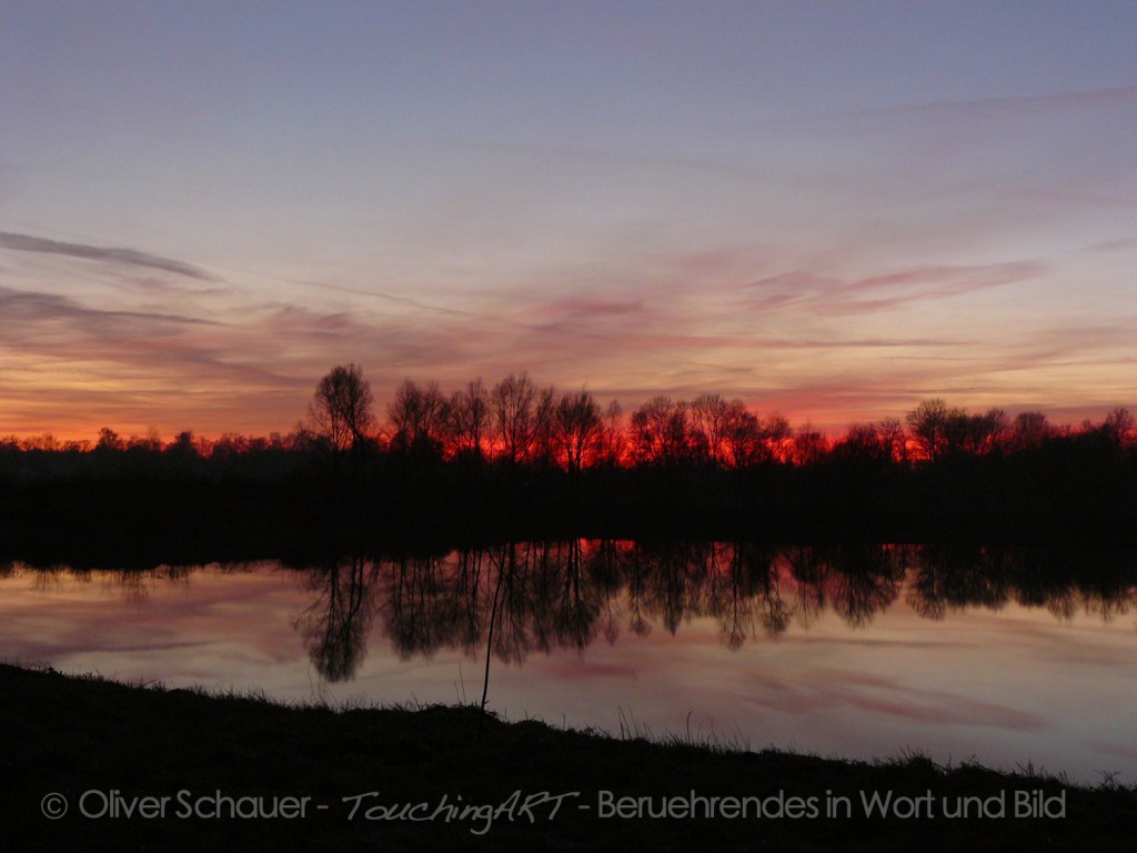 bei Ampermoching im Moos