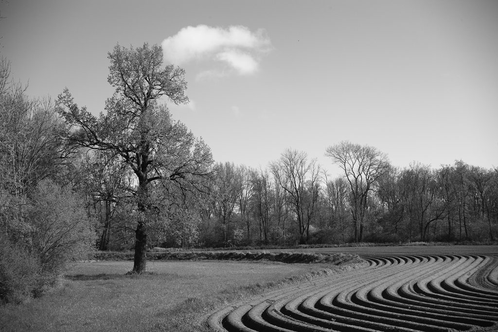 Kulturlandschaft in Schwarz/Weiss