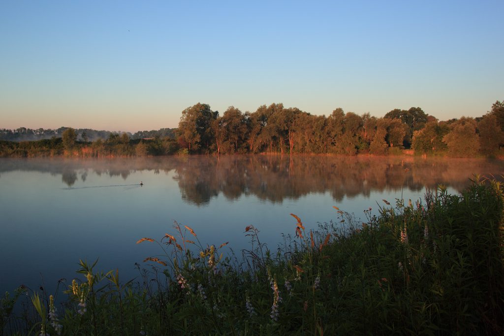 Im ersten Licht des Tages