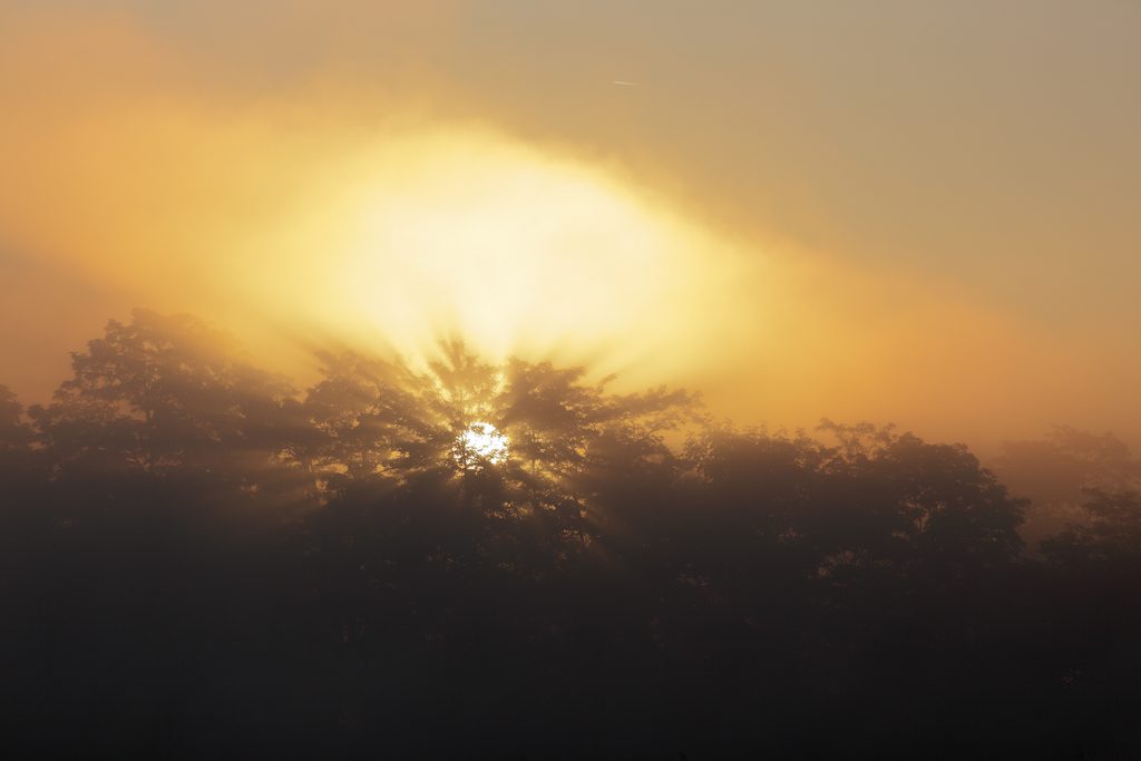 Sonnenaufgang im Dachauer Moos