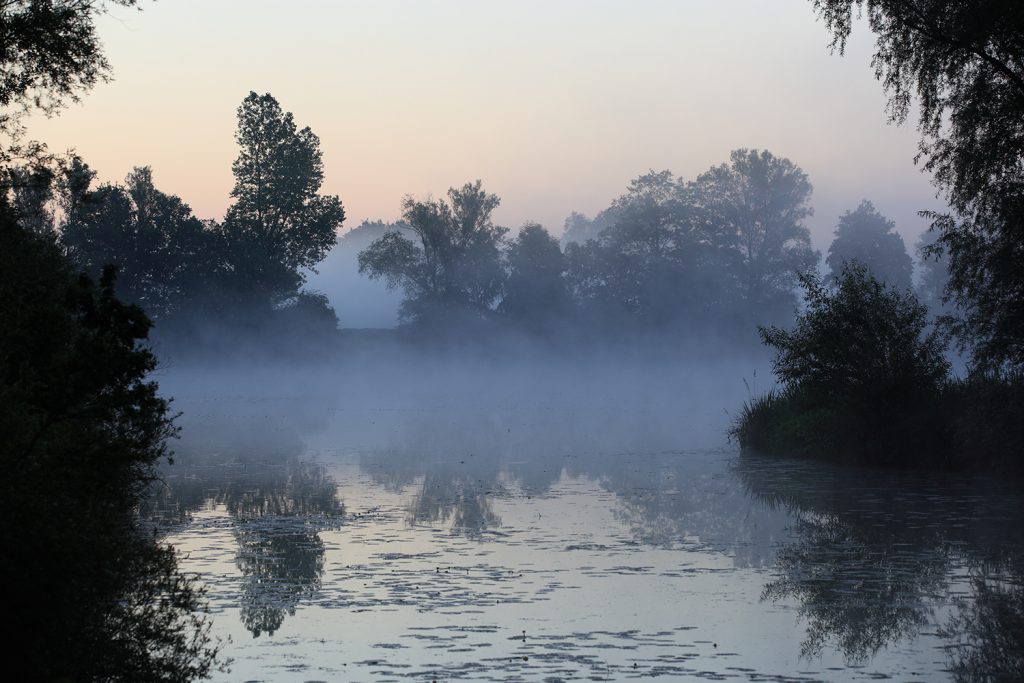 Morgennebel im Dachauer Moos